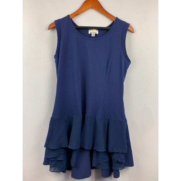 Kathleen Kirkwood Sleeveless Blue Dress With Ruffle Hem M - Picture 1 of 6